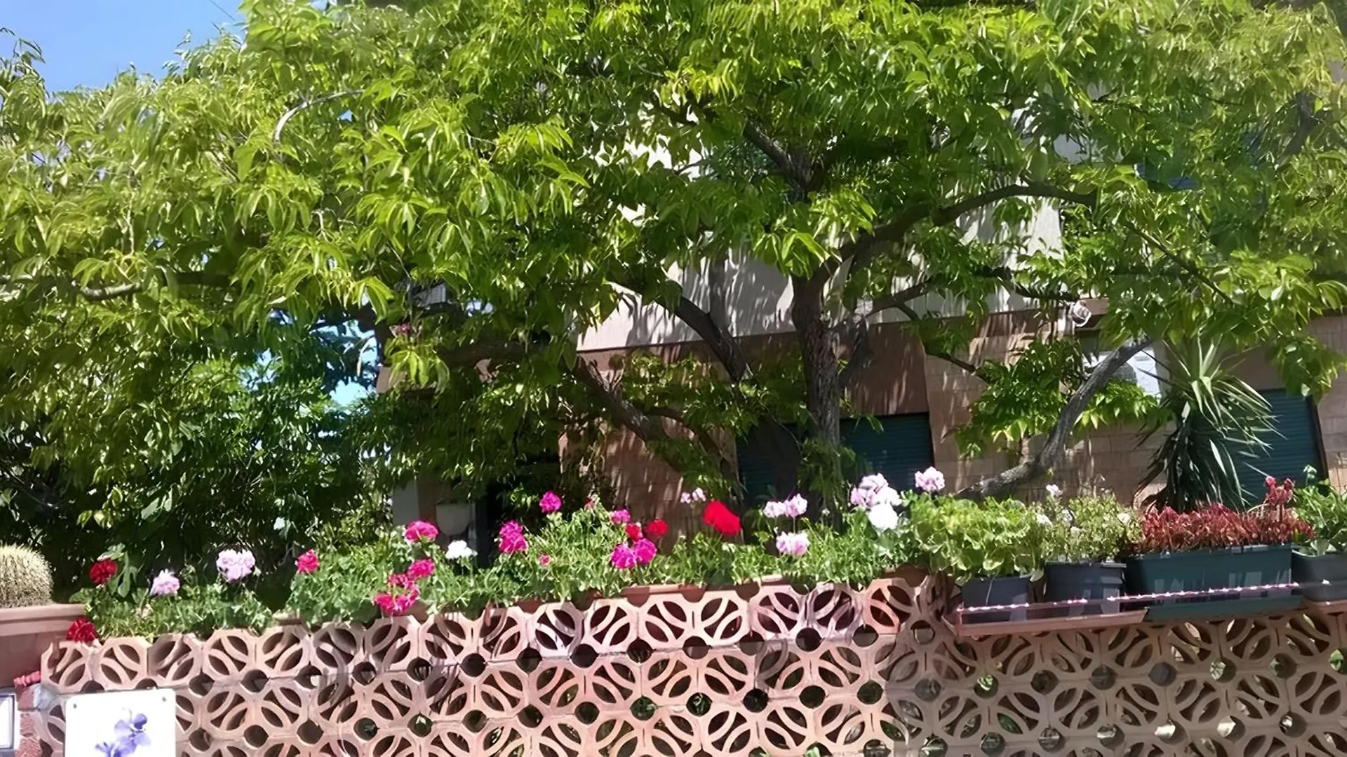 Bed and Breakfast Bb Le Violette Tortolì 0*,  Italia